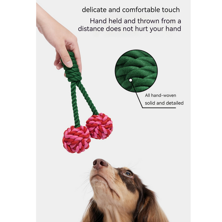 Playful Paws: Cherry & Cactus Pet Knot Toy