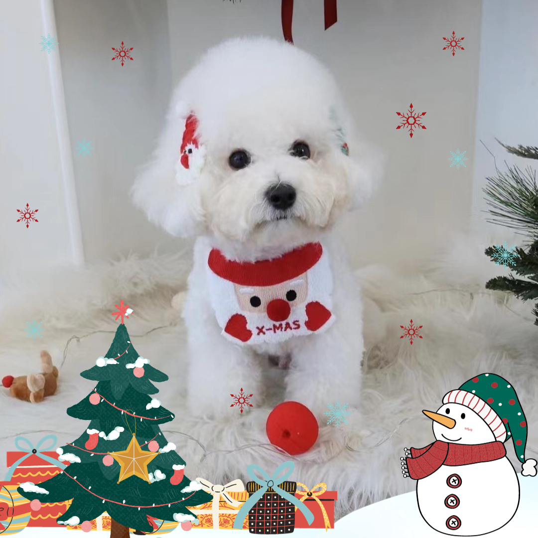 Festive Furry Fashion: The Perfect Christmas Bib for Pets