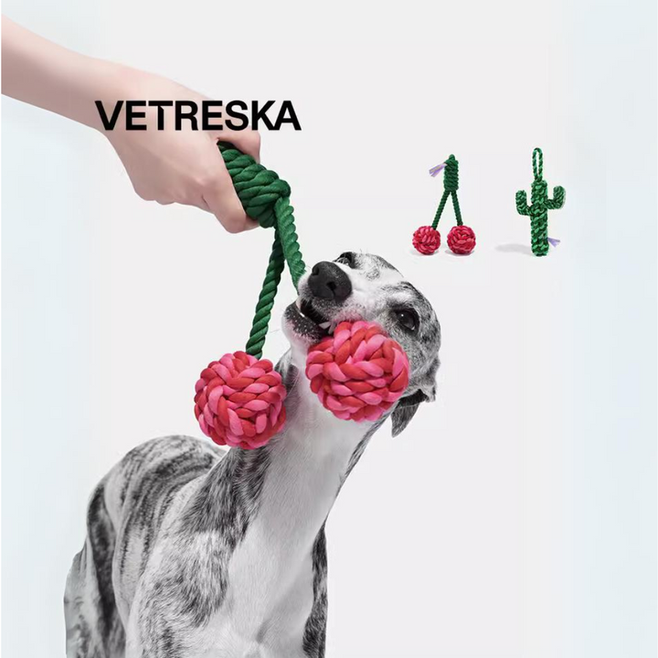 Playful Paws: Cherry & Cactus Pet Knot Toy