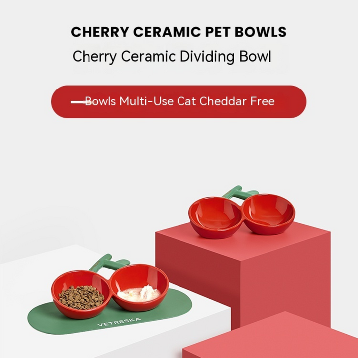 Delightful Dining: Cheery Ceramic Dividing Bowl