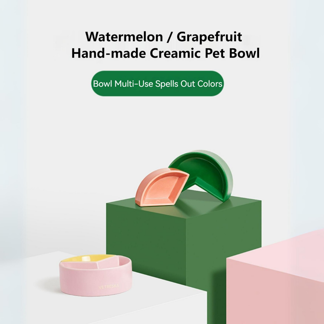 Juicy Delights: Watermelon & Grapefruit Ceramic Pet Bowl