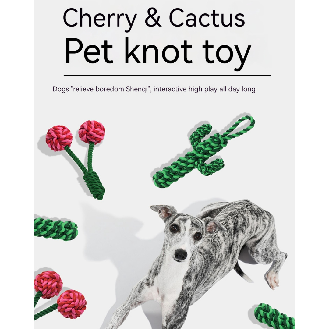 Playful Paws: Cherry & Cactus Pet Knot Toy