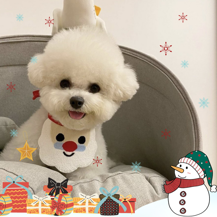 Festive Furry Fashion: The Perfect Christmas Bib for Pets