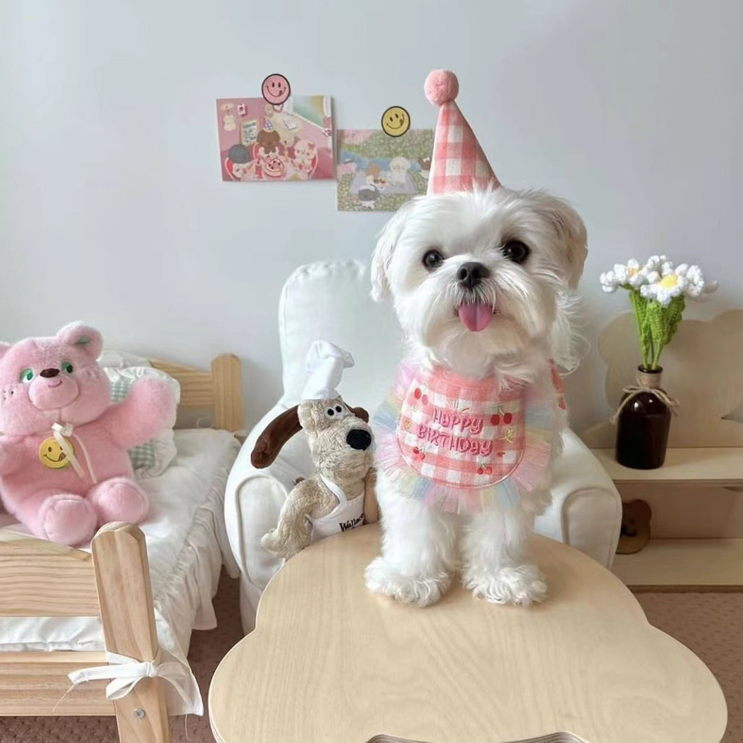 Happy Birthday Bib & Cone Hat for Dogs and Cats | Celebrate in Style