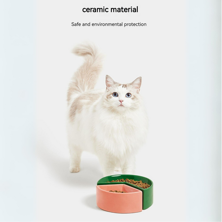 Juicy Delights: Watermelon & Grapefruit Ceramic Pet Bowl