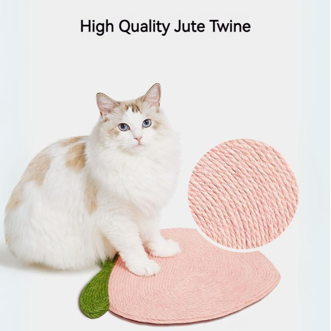 Juicy Fun: Fruit Shape Scratching Board