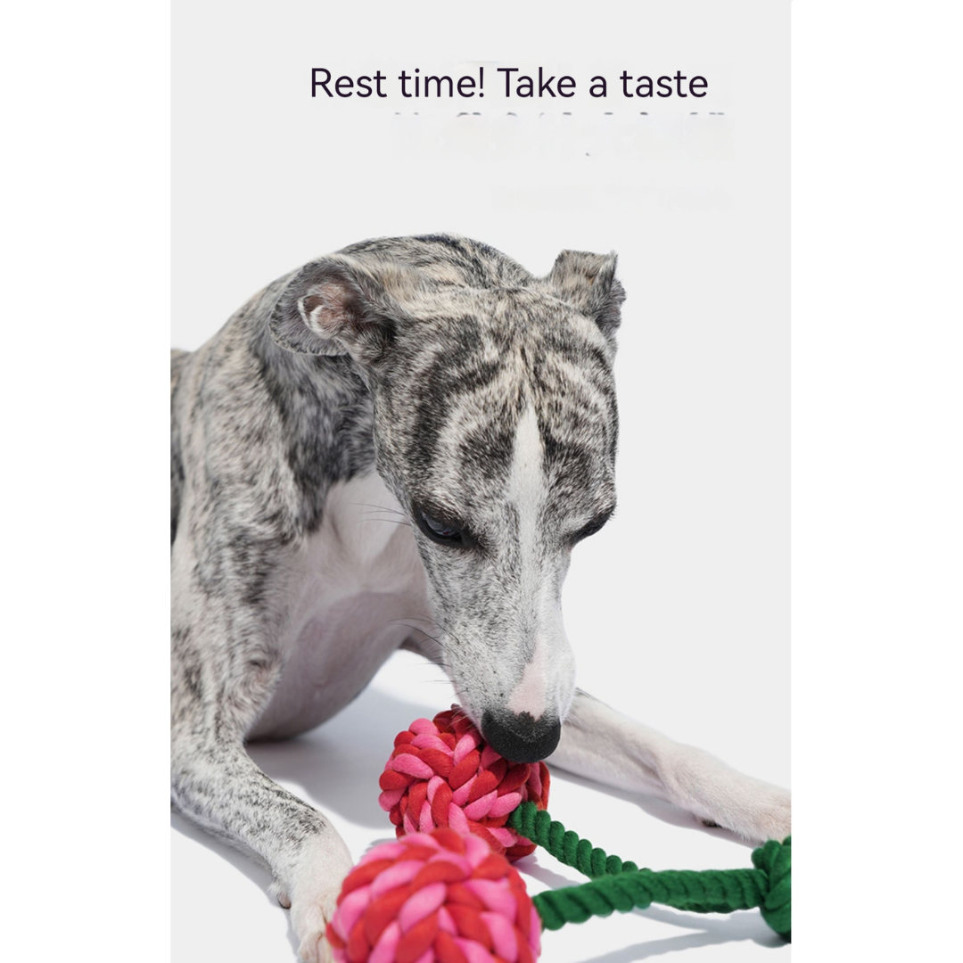 Playful Paws: Cherry & Cactus Pet Knot Toy