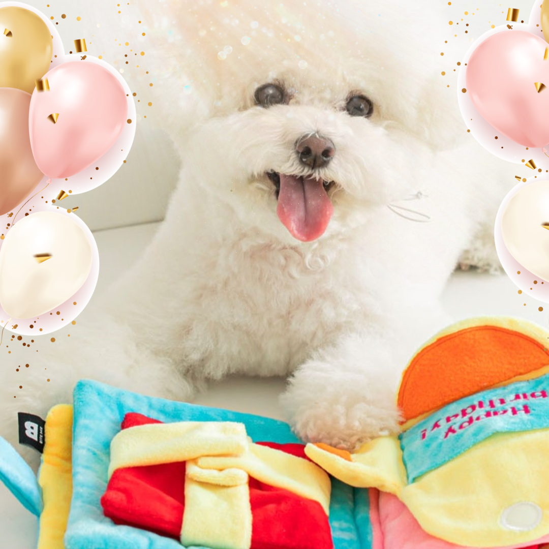 "Happy Birthday" Dogs Interactive Puzzle Toys