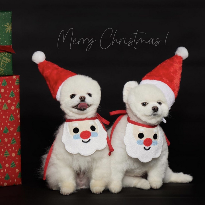 Festive Furry Fashion: The Perfect Christmas Bib for Pets