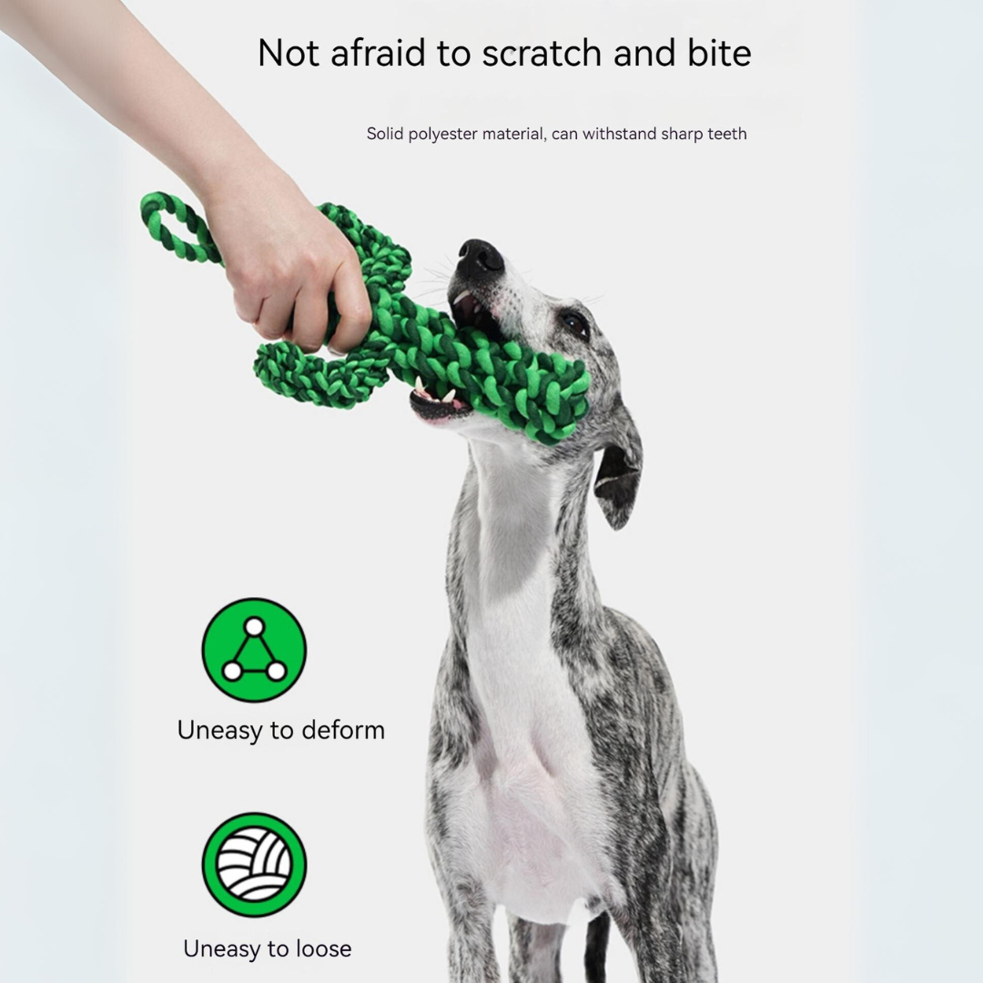 Playful Paws: Cherry & Cactus Pet Knot Toy