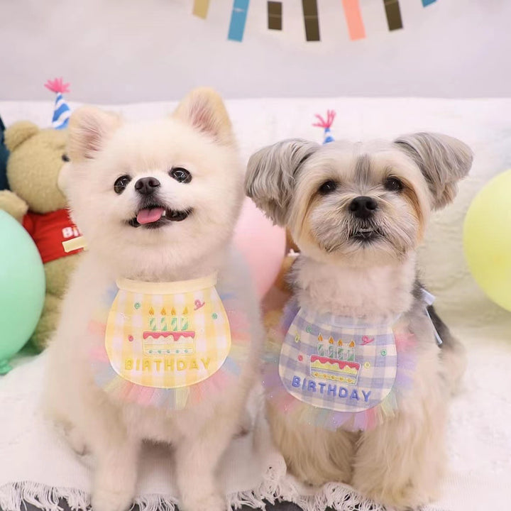 Happy Birthday Bib & Cone Hat for Dogs and Cats | Celebrate in Style