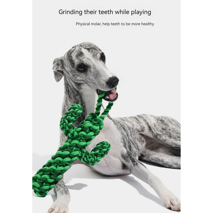 Playful Paws: Cherry & Cactus Pet Knot Toy