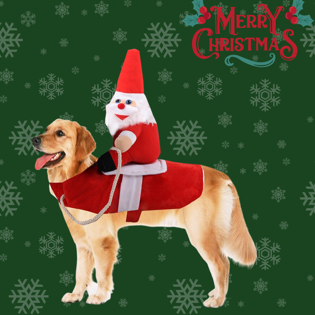 Furry & Merry: Ultimate Christmas Santa Costume for Dogs