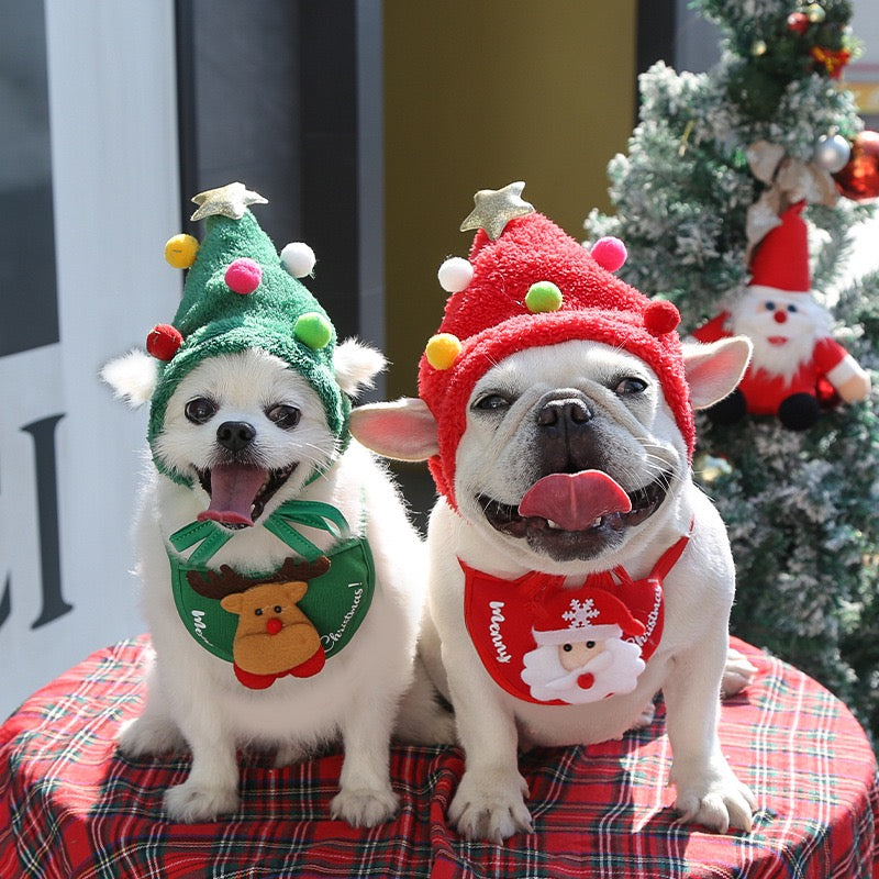 Ho Ho Ho! Festive Christmas Suit (Hat & Bib) for Dogs