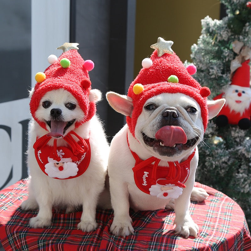 Ho Ho Ho! Festive Christmas Suit (Hat & Bib) for Dogs