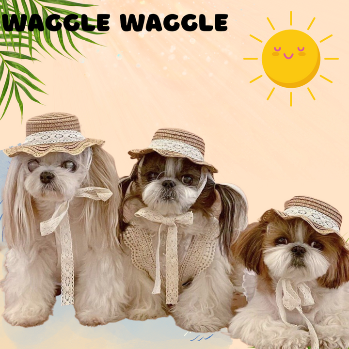 Summertime Style: The Chic Sun Hat for Your Furry Friend