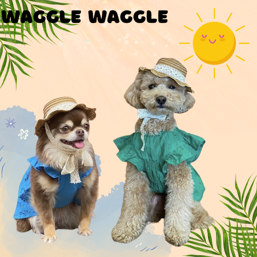 Summertime Style: The Chic Sun Hat for Your Furry Friend