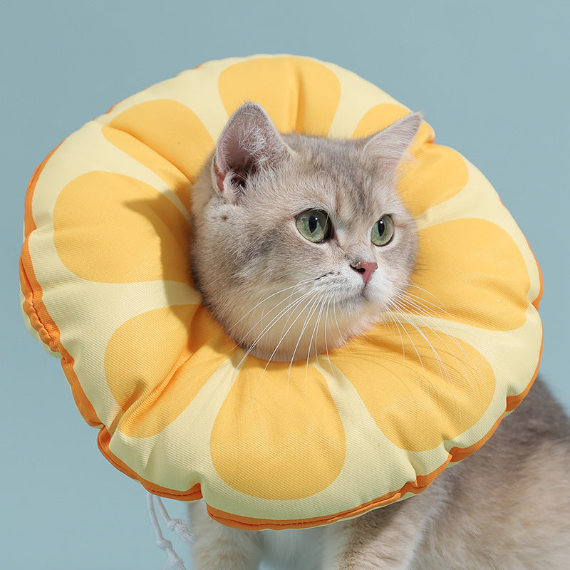 Comfortable Elizabethan Collar for Cats