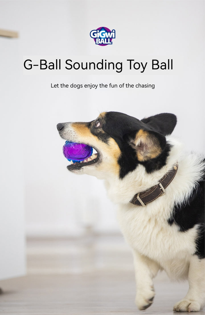 Bounce Into Fun: The Ultimate Play Ball for Dogs