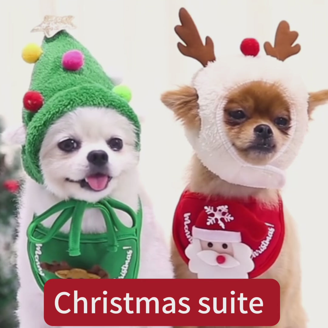 Ho Ho Ho! Festive Christmas Suit (Hat & Bib) for Dogs