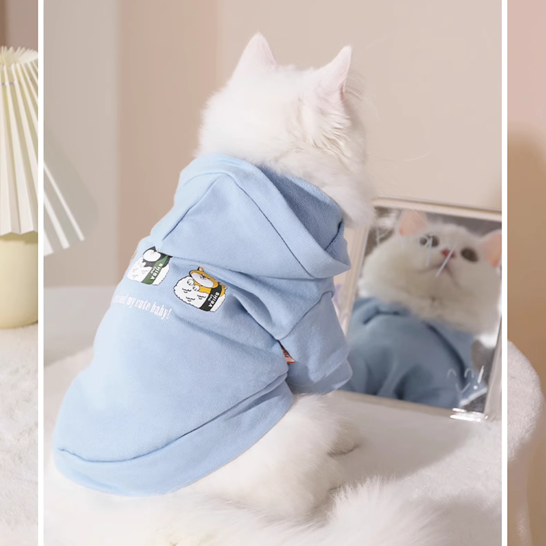 Dress Your Pet in Style: Human-Like Hoodie for Pets