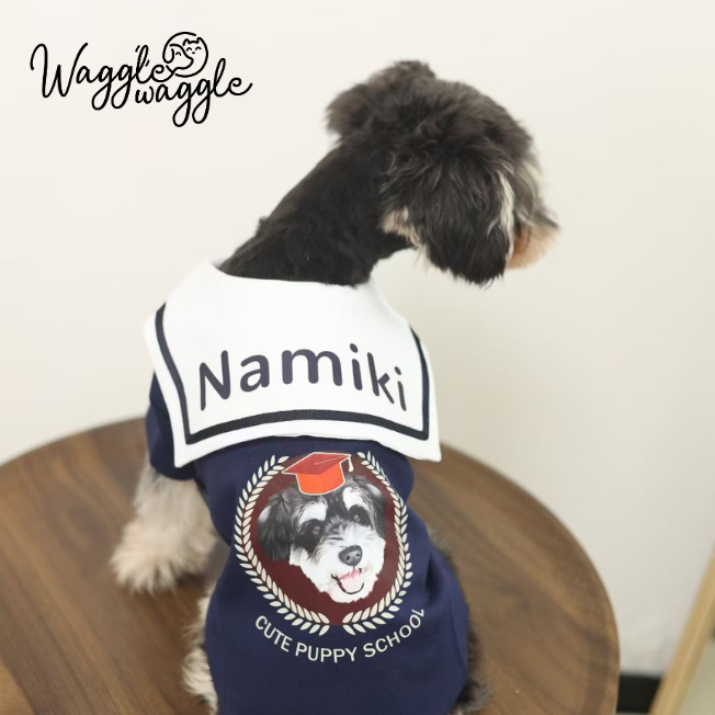 Nautical Chic: Custom Clothes for Your Stylish Pet