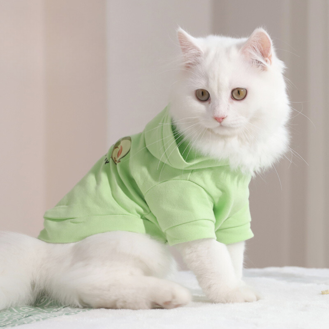 Dress Your Pet in Style: Human-Like Hoodie for Pets