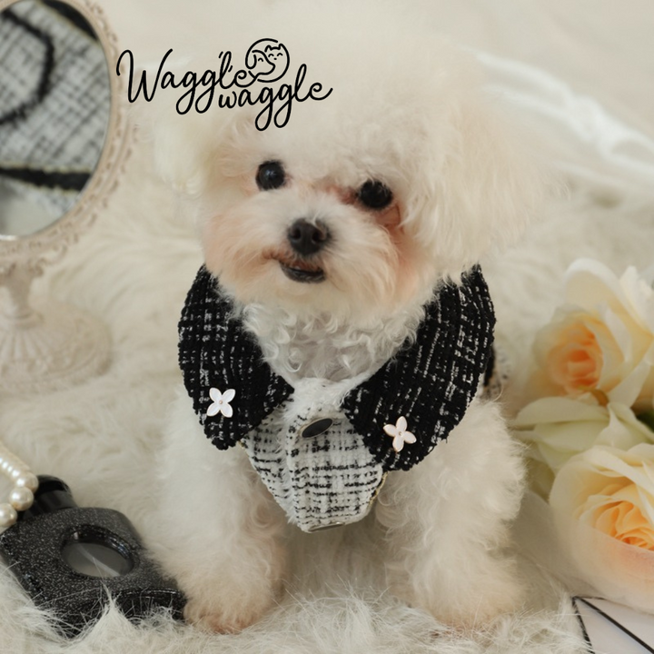 Luxury Redefined: Elegant Princess Jacket for Dogs & Cats