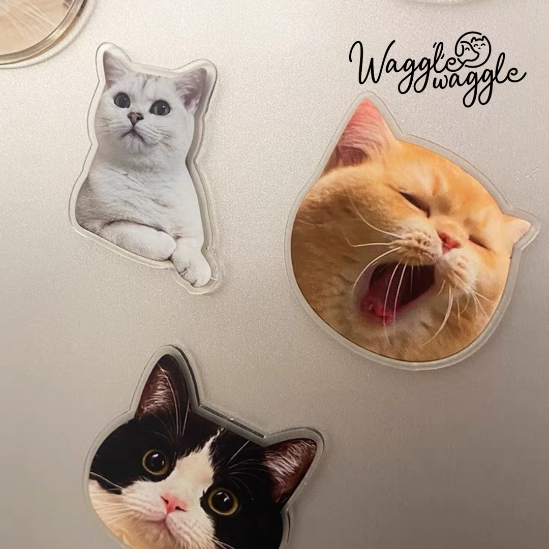 Your Pet's Portrait on a Magnet: Custom Acrylic Creations