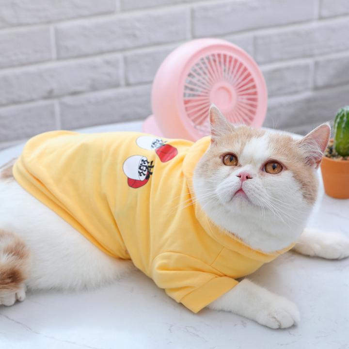 Dress Your Pet in Style: Human-Like Hoodie for Pets