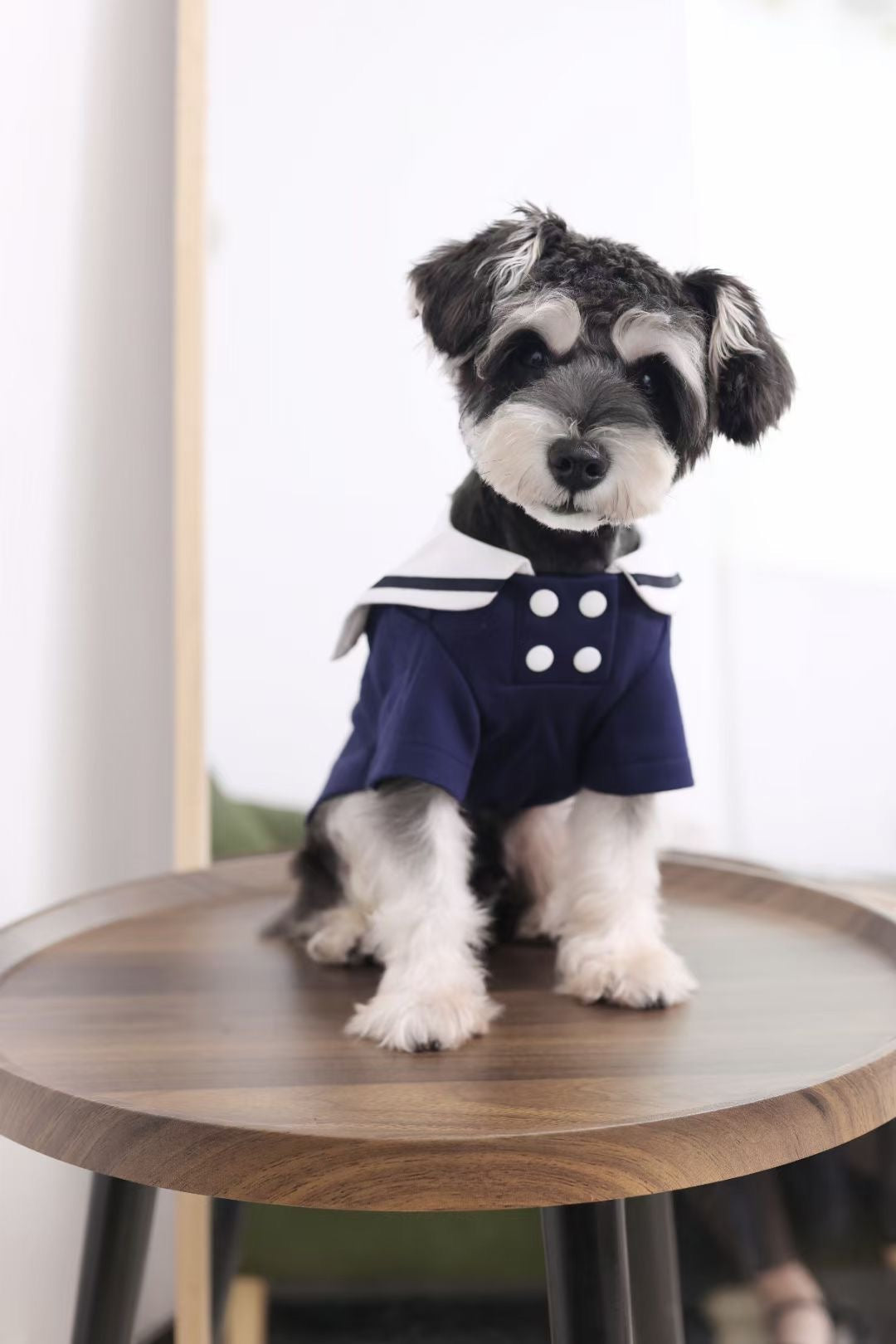 Nautical Chic: Custom Clothes for Your Stylish Pet