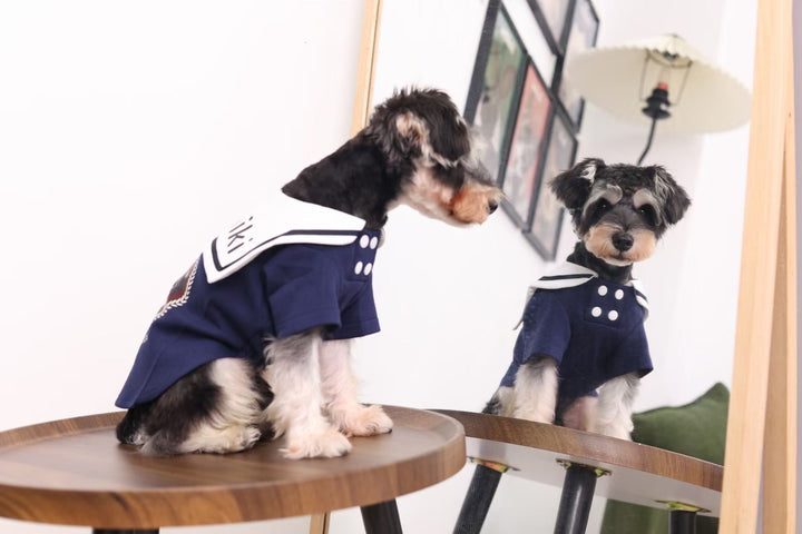 Nautical Chic: Custom Clothes for Your Stylish Pet