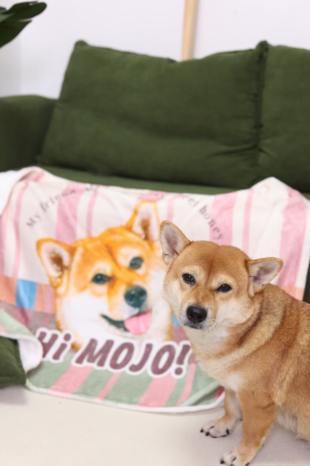 Cuddle Comfort: Custom Pet Blanket